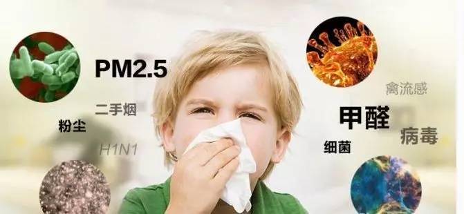 上海室內空氣質量檢測中心-上海CMA檢測報告