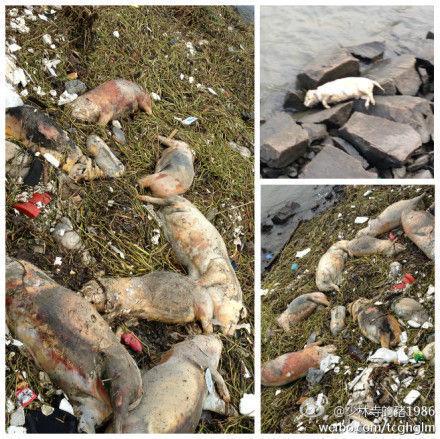 上海室內(nèi)空氣質(zhì)量檢測(cè)中心-上海CMA檢測(cè)報(bào)告