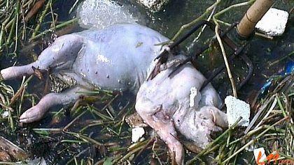 上海室內(nèi)空氣質(zhì)量檢測(cè)中心-上海CMA檢測(cè)報(bào)告